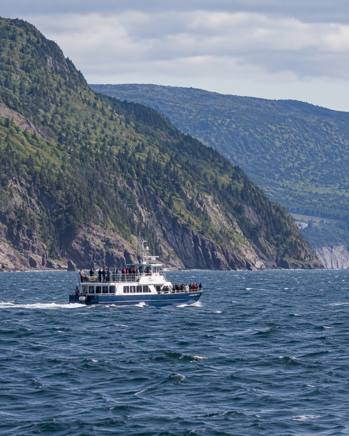 a whale-watching vessel off Pleasant Bay